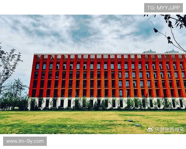 围绕观音桥足球俱乐部中心区域的城市活力与社区魅力深度探索指南